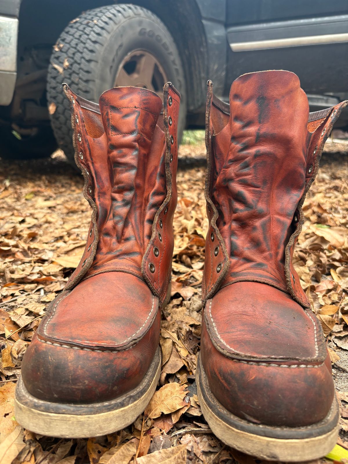 Photo by MuttBarker on December 5, 2025 of the Red Wing Irish Setter Sport Boot 877 in S.B. Foot Oro-Russet Abilene.