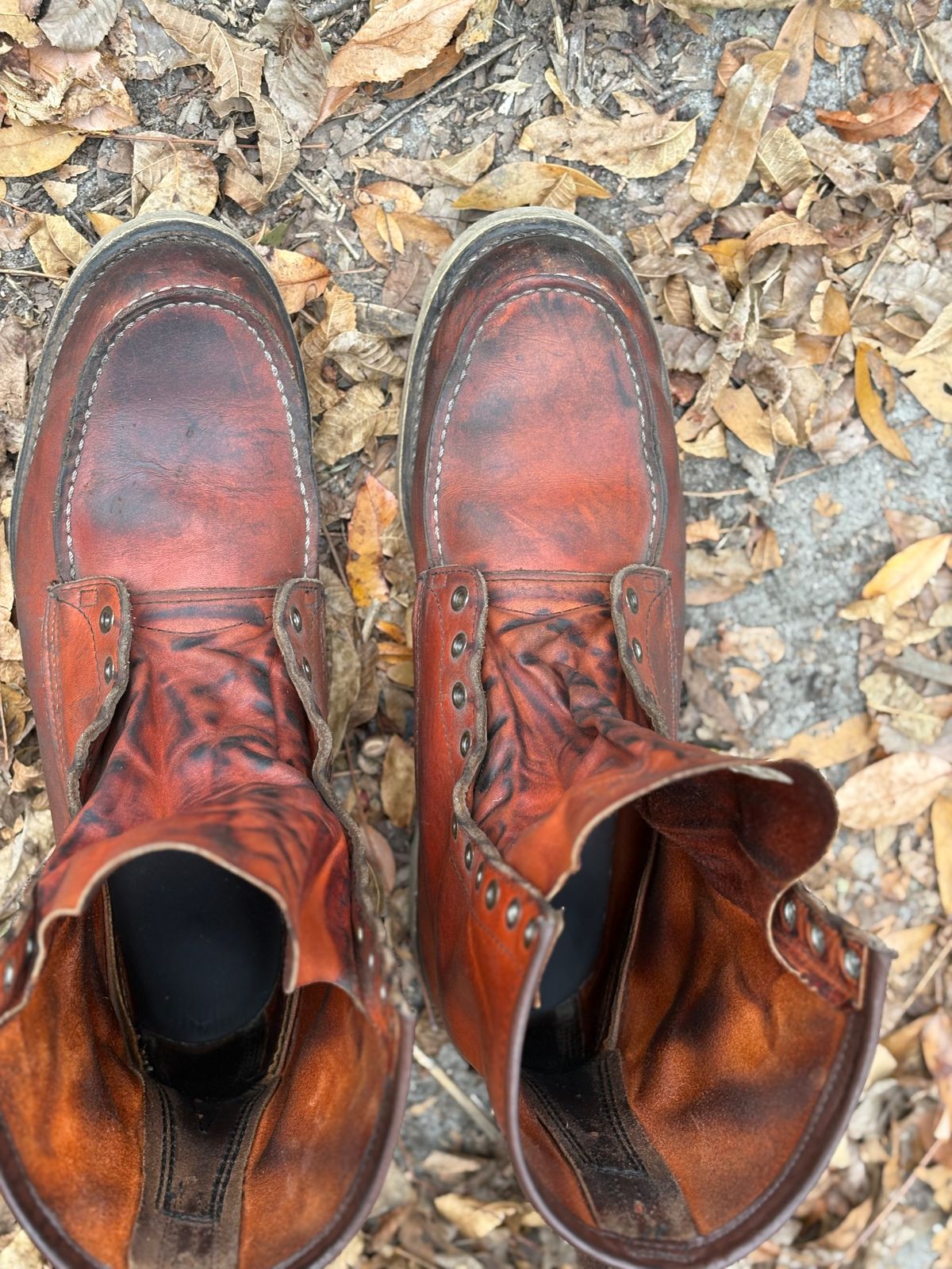 Photo by MuttBarker on December 5, 2025 of the Red Wing Irish Setter Sport Boot 877 in S.B. Foot Oro-Russet Abilene.
