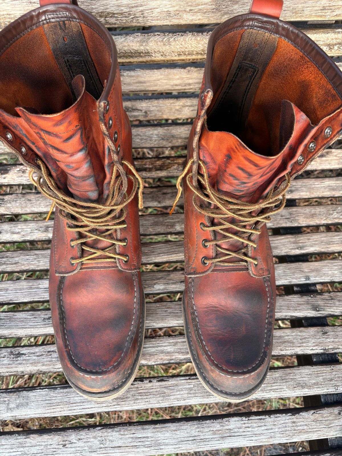 Photo by MuttBarker on January 4, 2026 of the Red Wing Irish Setter Sport Boot 877 in S.B. Foot Oro-Russet Abilene.