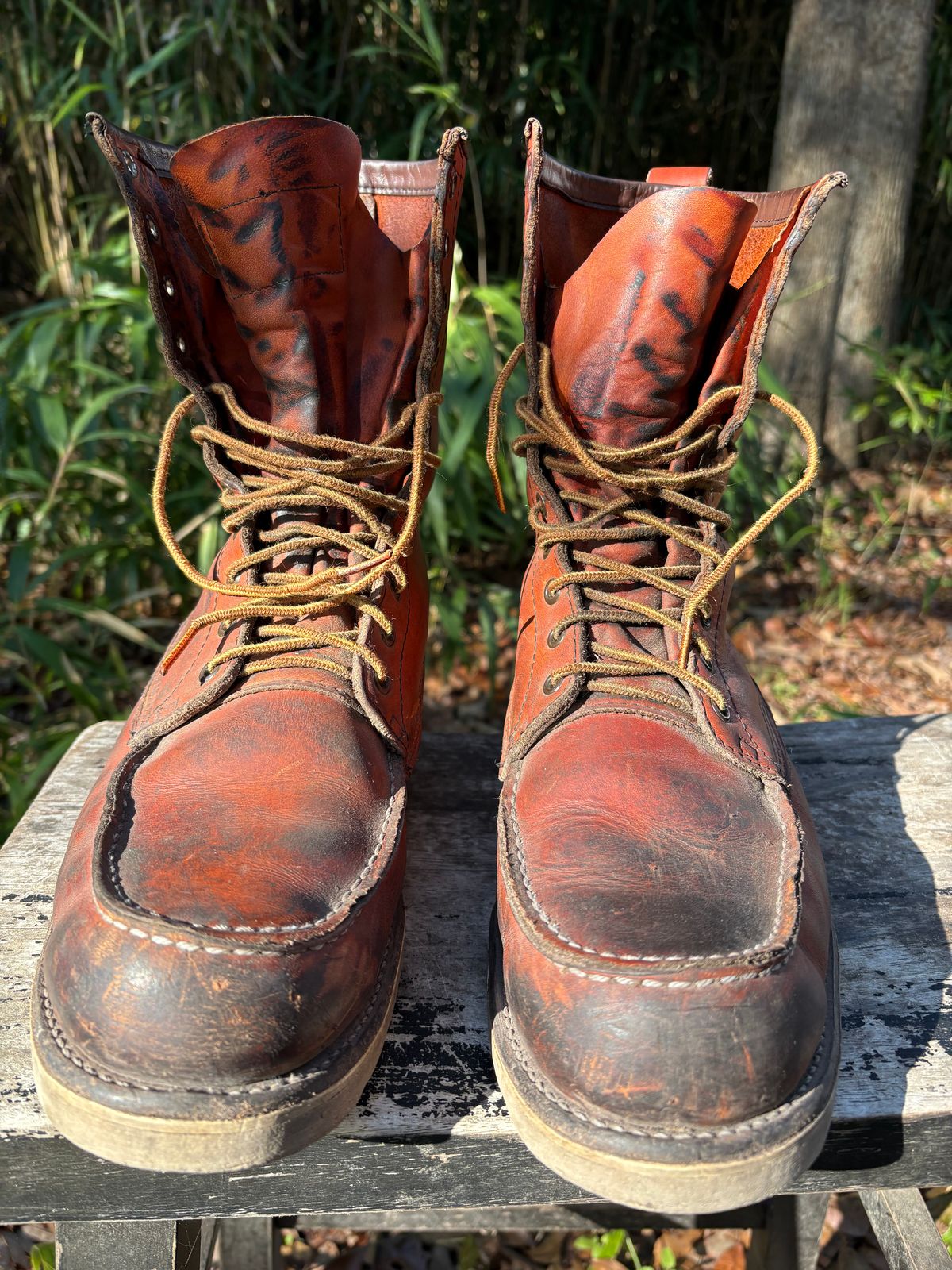 Photo by MuttBarker on February 5, 2026 of the Red Wing Irish Setter Sport Boot 877 in S.B. Foot Oro-Russet Abilene.