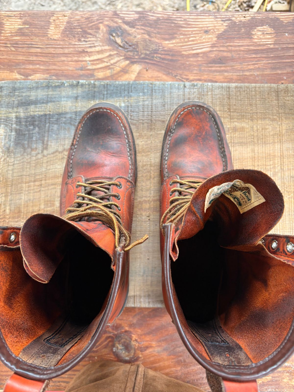 Photo by MuttBarker on February 5, 2026 of the Red Wing Irish Setter Sport Boot 877 in S.B. Foot Oro-Russet Abilene.