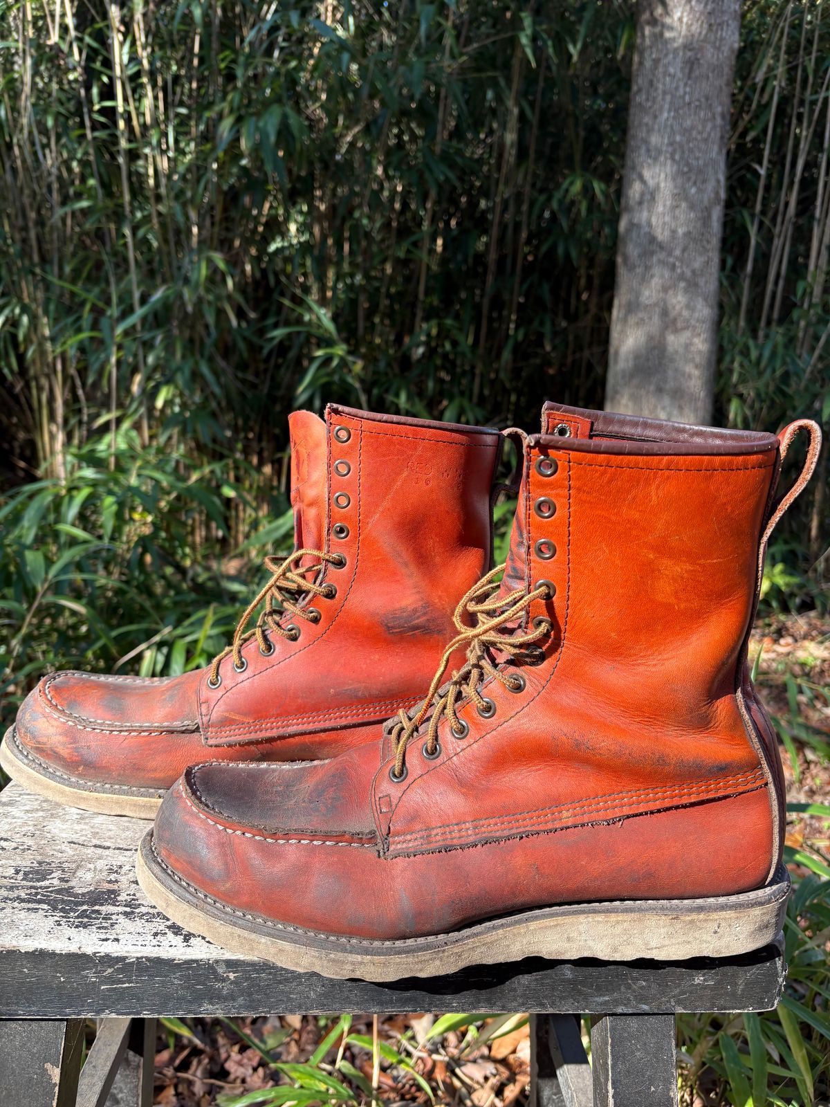 Photo by MuttBarker on February 5, 2026 of the Red Wing Irish Setter Sport Boot 877 in S.B. Foot Oro-Russet Abilene.