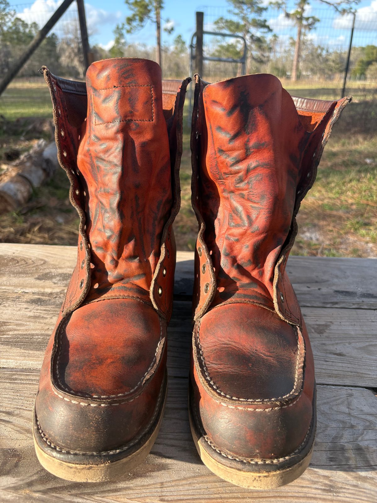 Photo by MuttBarker on March 4, 2026 of the Red Wing Irish Setter Sport Boot 877 in S.B. Foot Oro-Russet Abilene.
