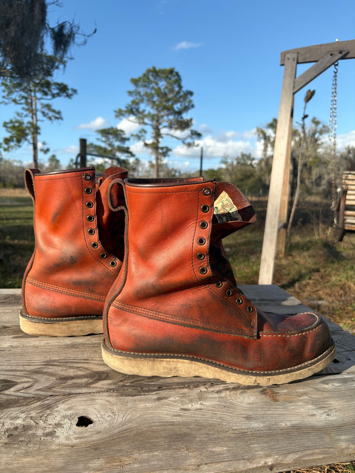Photo by MuttBarker on March 4, 2026 of the Red Wing Irish Setter Sport Boot 877 in S.B. Foot Oro-Russet Abilene.