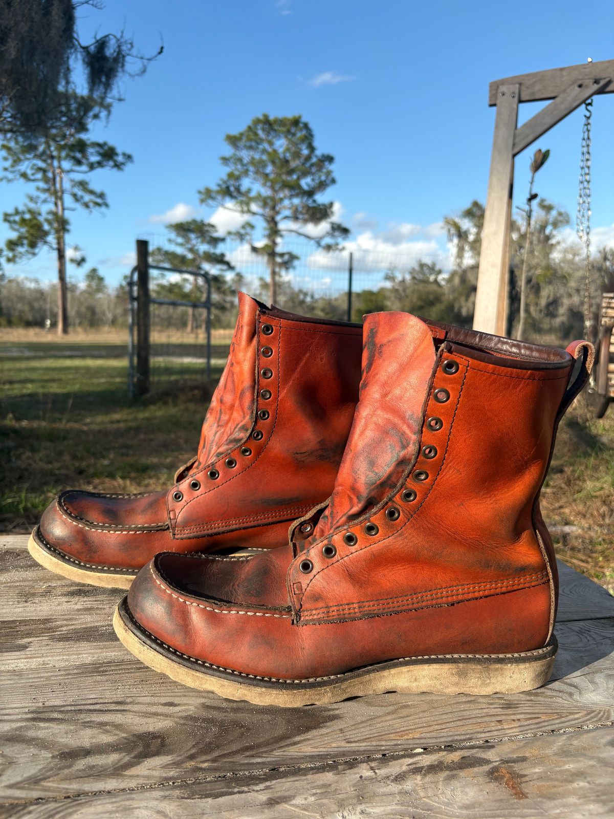 Photo by MuttBarker on March 4, 2026 of the Red Wing Irish Setter Sport Boot 877 in S.B. Foot Oro-Russet Abilene.
