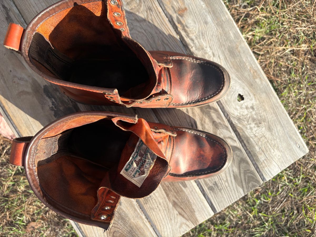 Photo by MuttBarker on March 4, 2026 of the Red Wing Irish Setter Sport Boot 877 in S.B. Foot Oro-Russet Abilene.