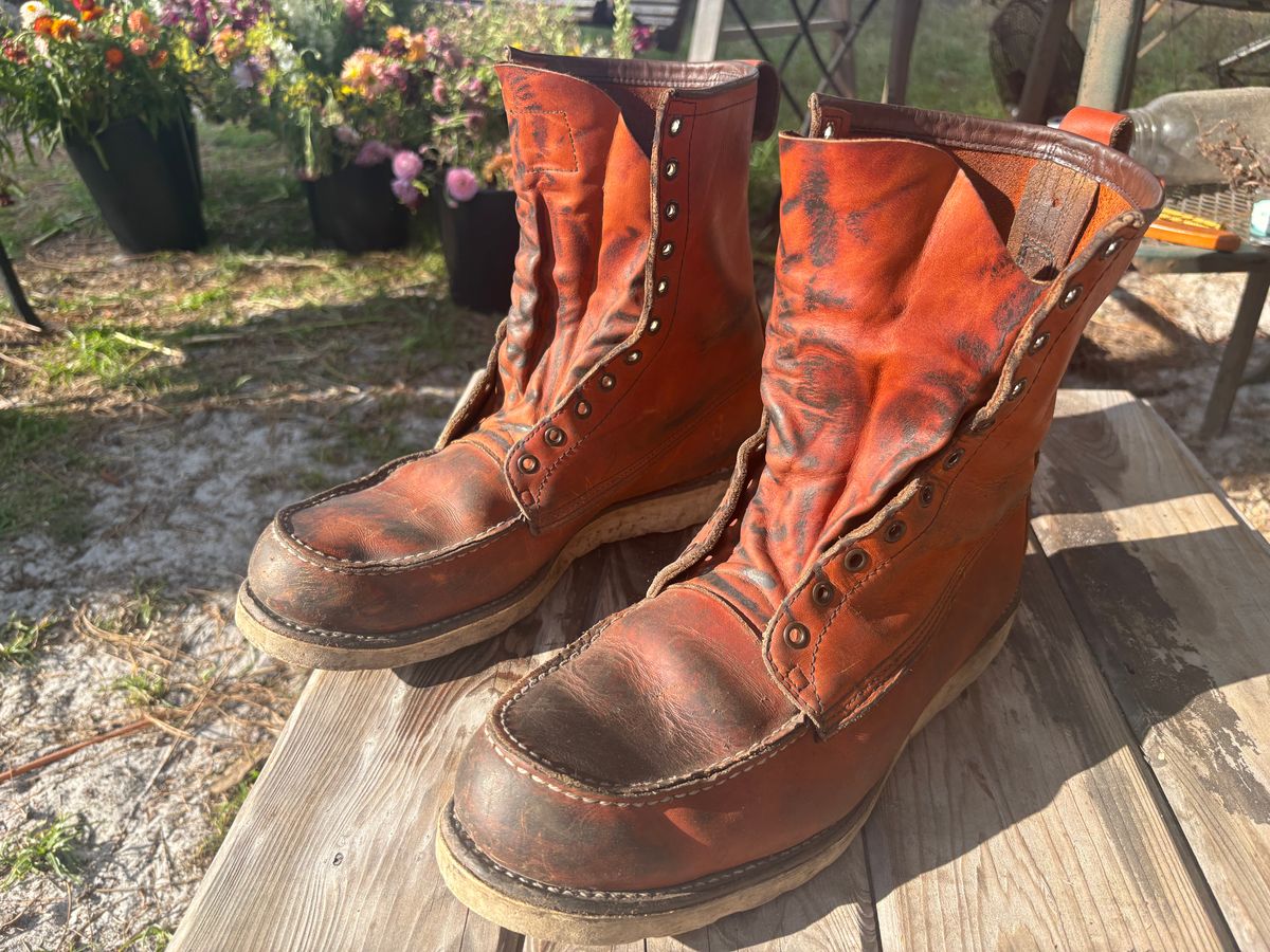 Photo by MuttBarker on March 27, 2026 of the Red Wing Irish Setter Sport Boot 877 in S.B. Foot Oro-Russet Abilene.
