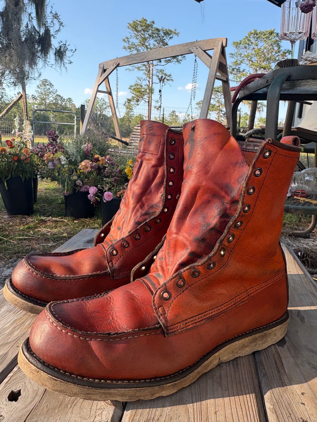 Photo by MuttBarker on March 27, 2026 of the Red Wing Irish Setter Sport Boot 877 in S.B. Foot Oro-Russet Abilene.