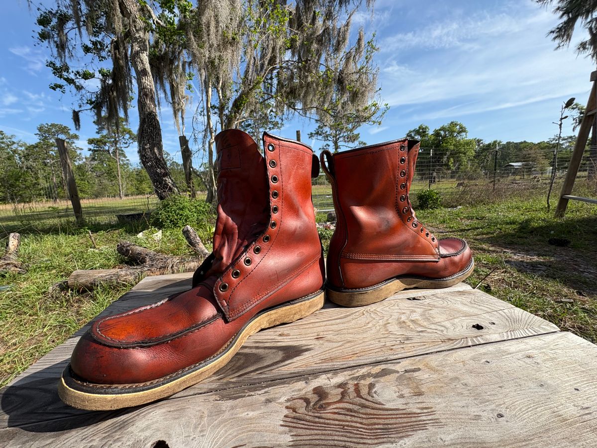 Photo by MuttBarker on March 31, 2026 of the Red Wing Irish Setter Sport Boot 877 in S.B. Foot Oro-Russet Abilene.