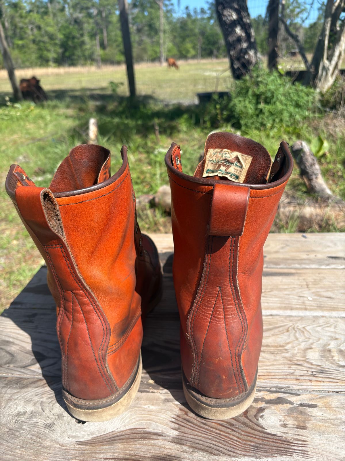 Photo by MuttBarker on April 4, 2026 of the Red Wing Irish Setter Sport Boot 877 in S.B. Foot Oro-Russet Abilene.
