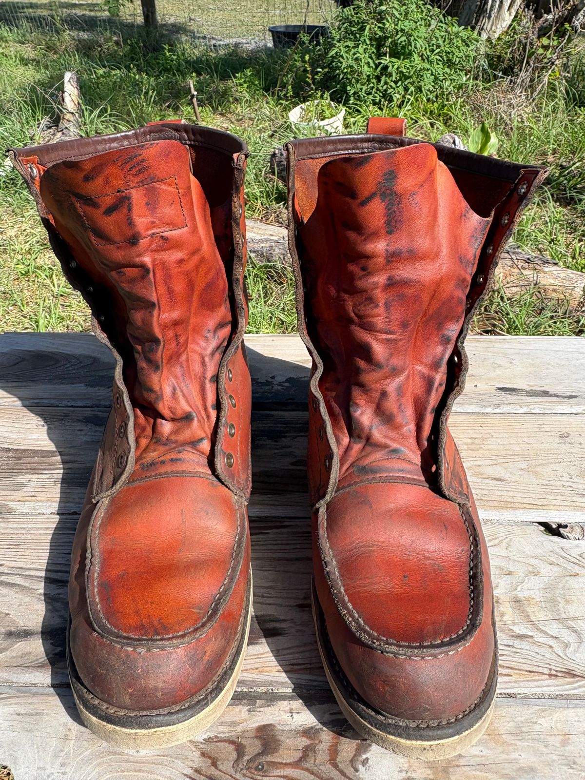 Photo by MuttBarker on April 4, 2026 of the Red Wing Irish Setter Sport Boot 877 in S.B. Foot Oro-Russet Abilene.