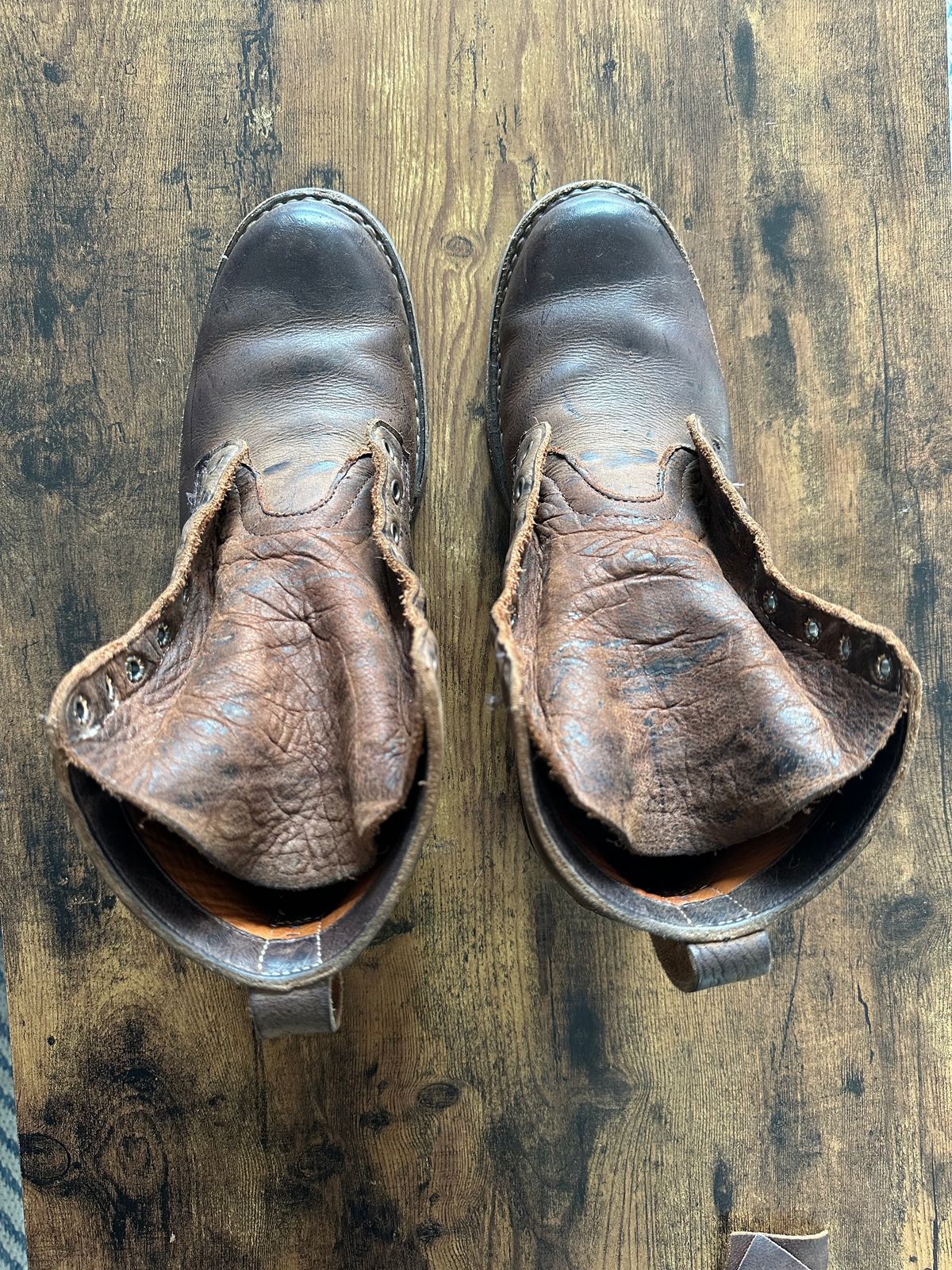 Photo by hidenseek on December 5, 2024 of the White's Semi-Dress in CF Stead Urban Brown Re-Tan Waxed Kudu.