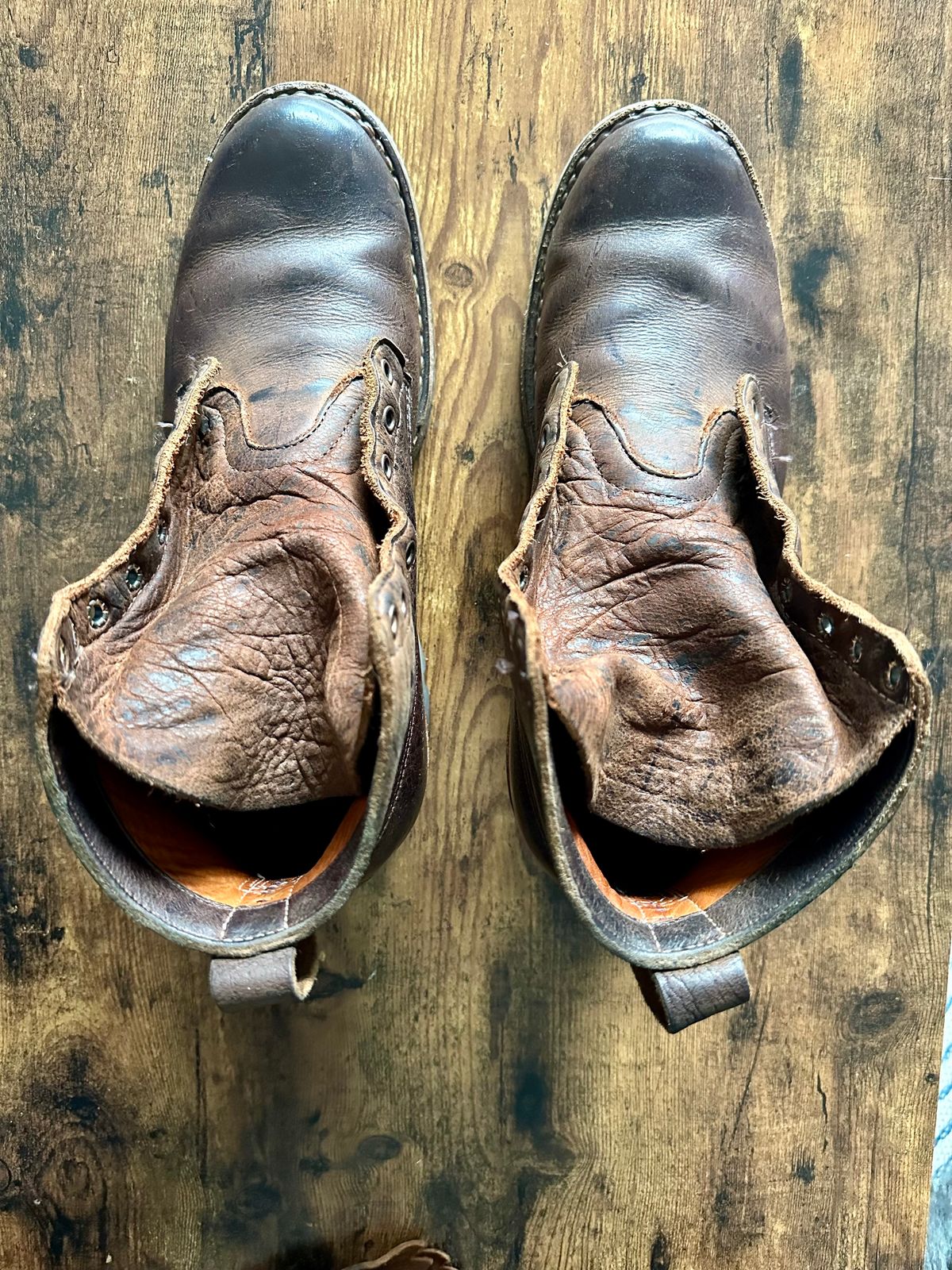 Photo by hidenseek on February 5, 2025 of the White's Semi-Dress in CF Stead Urban Brown Re-Tan Waxed Kudu.