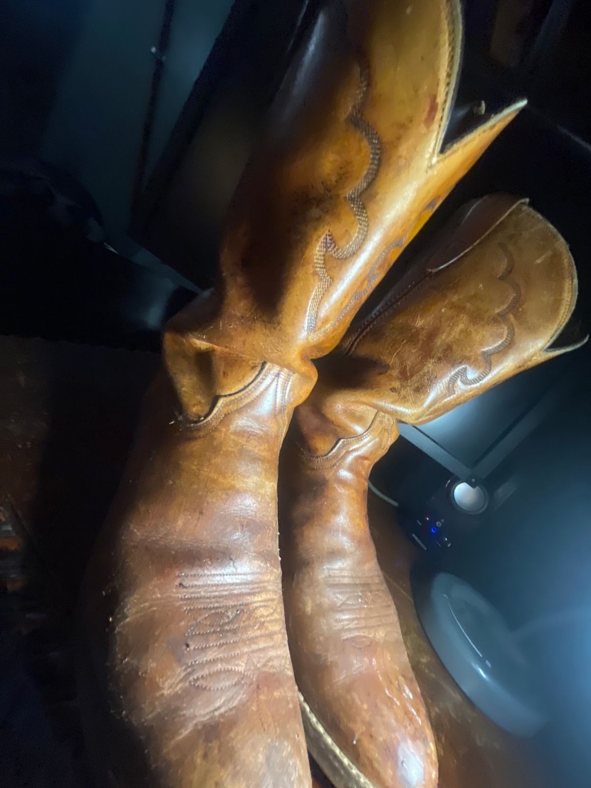Photo by thebootlover12 on April 22, 2024 of the golden retriever  cowboy boots western in calf leather.