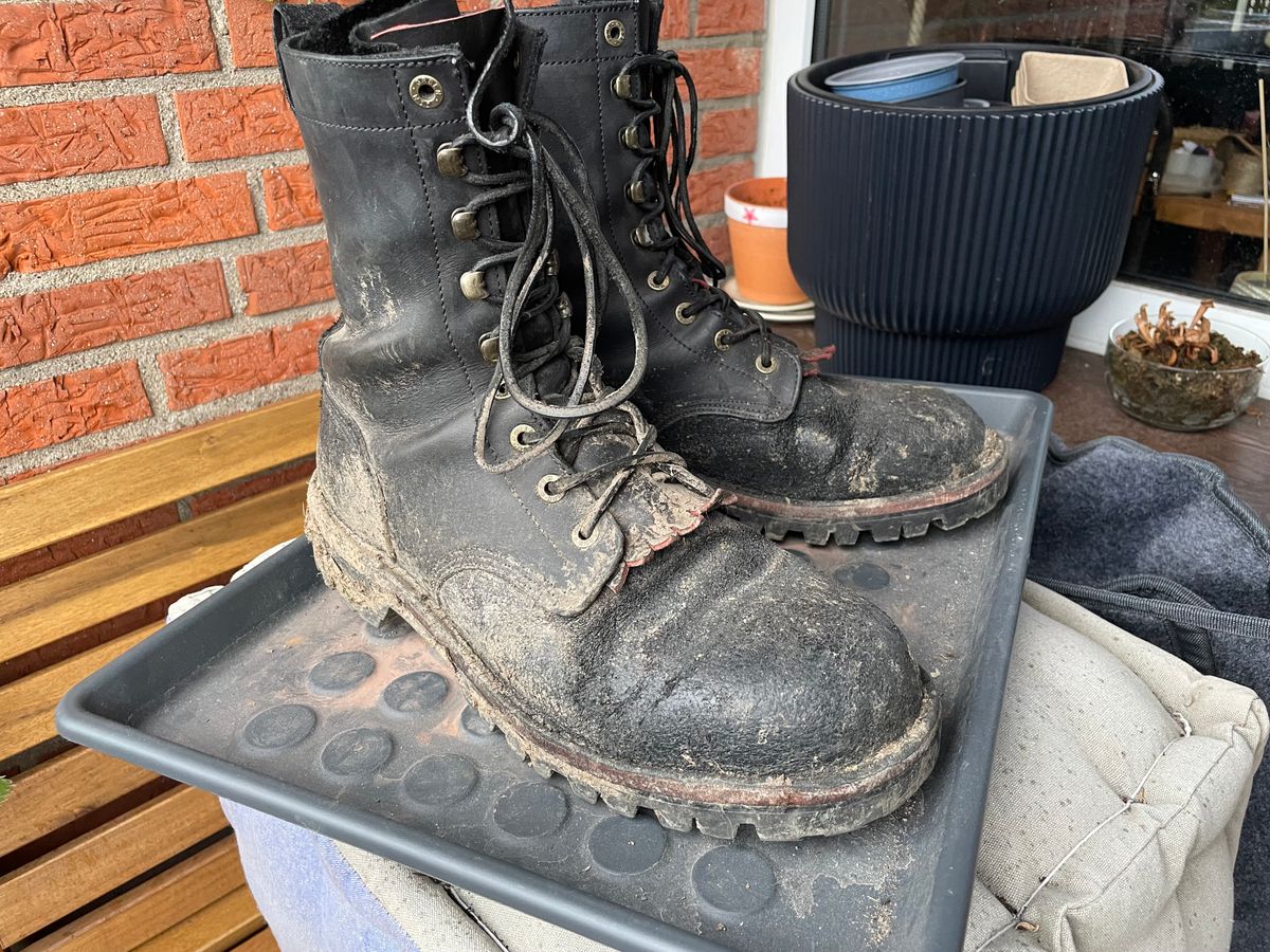 Photo by sbjweyk on October 25, 2025 of the Jim Green Rugged African Trooper in Houston Black.