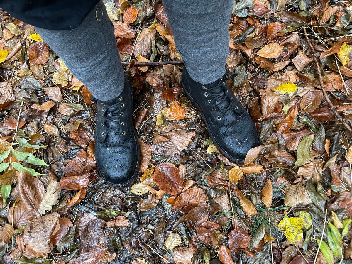 Photo by sbjweyk on November 15, 2025 of the Jim Green Rugged African Trooper in Houston Black.