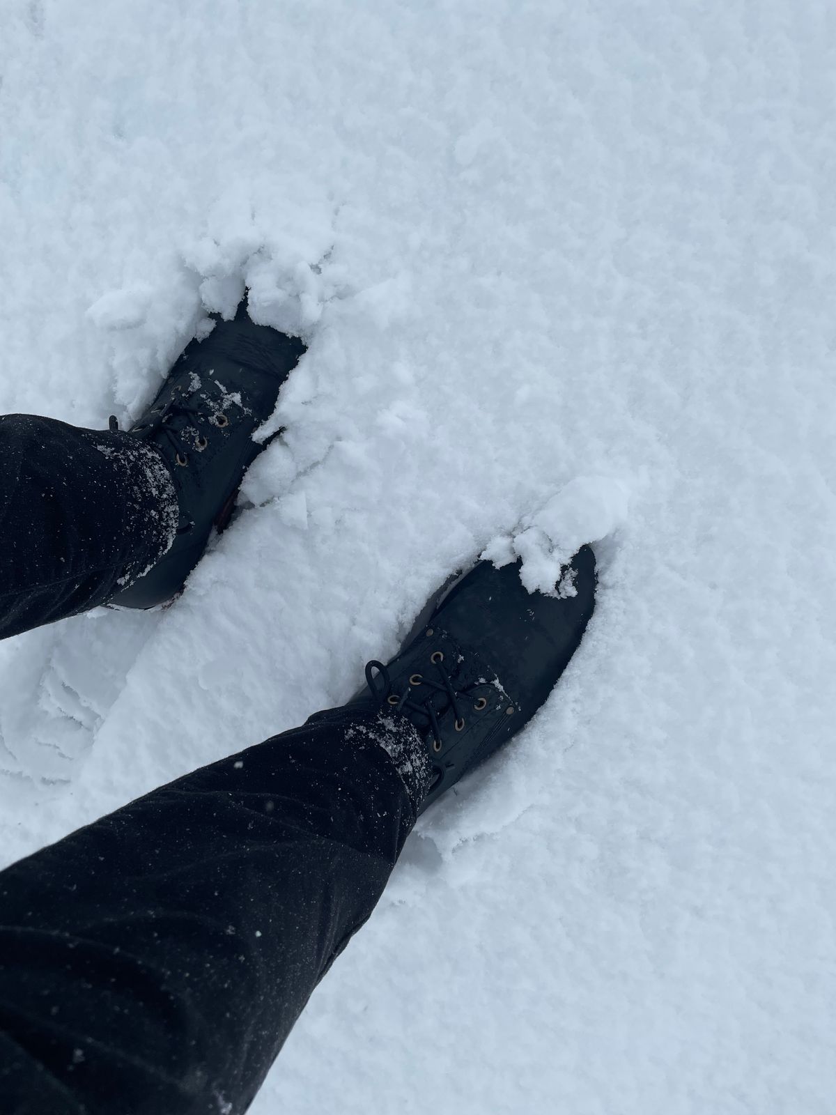 Photo by sbjweyk on January 9, 2025 of the Urban Shepherd Scout Charcoal in Waxed Portugese Calfskin.