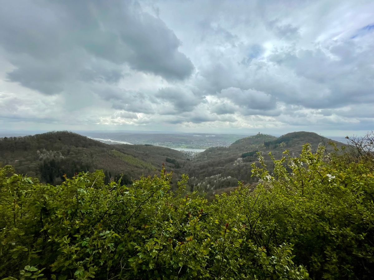 Photo by sbjweyk on March 31, 2026 of the Värnamo m59 in Unknown Leather.