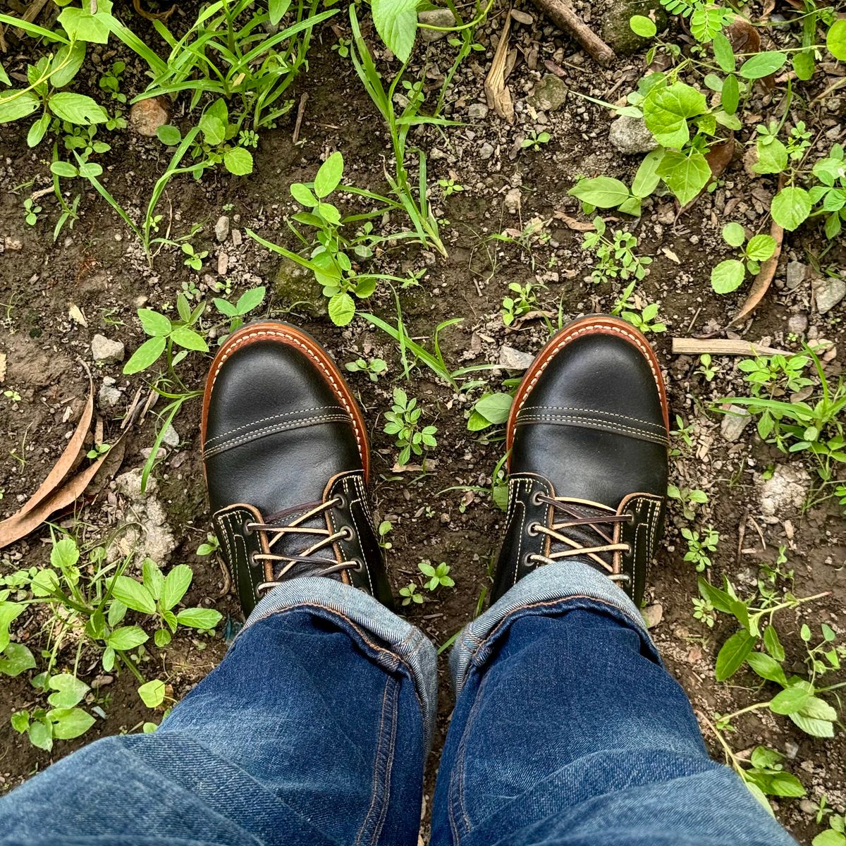Photo by stinkypatina on June 7, 2026 of the Truman Cap Toe Boot in Horween Black Waxed Flesh.