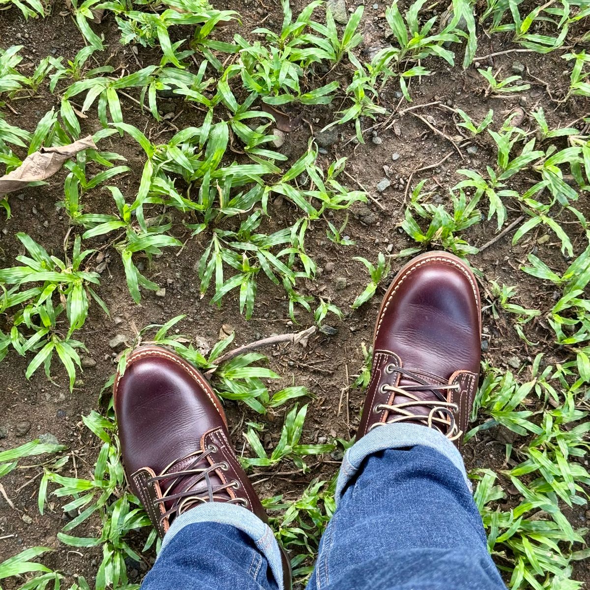 Photo by stinkypatina on October 31, 2025 of the Truman Plain Toe Boot in Seidel Oxblood Double Shot.