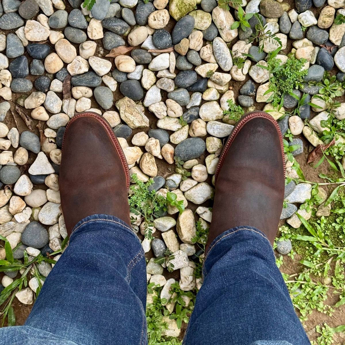 Photo by stinkypatina on November 15, 2025 of the Meermin Chelsea Boot in Rust Waxy Calf.