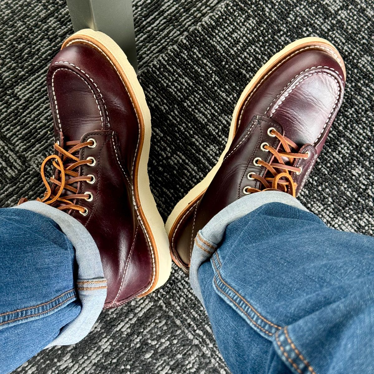 Photo by stinkypatina on May 22, 2026 of the Red Wing 6-Inch Classic Moc in S.B. Foot Black Cherry Excalibur.