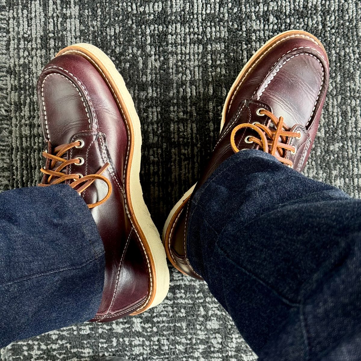 Photo by stinkypatina on June 9, 2026 of the Red Wing 6-Inch Classic Moc in S.B. Foot Black Cherry Excalibur.