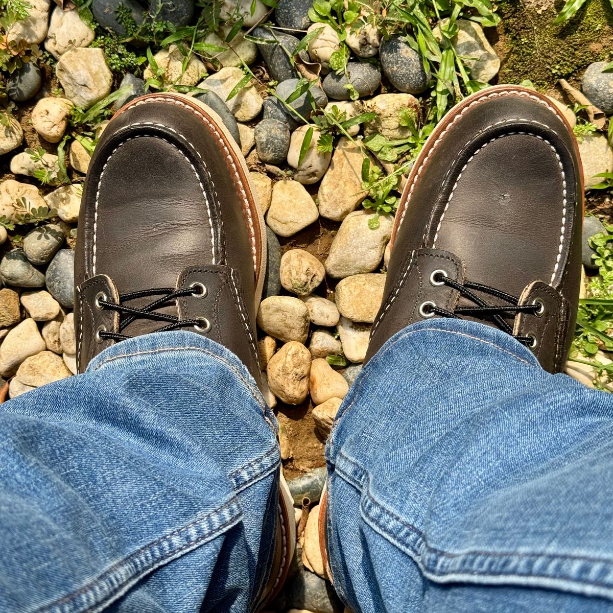 Photo by stinkypatina on December 30, 2025 of the Red Wing 6-Inch Classic Moc in S.B. Foot Charcoal Rough and Tough.