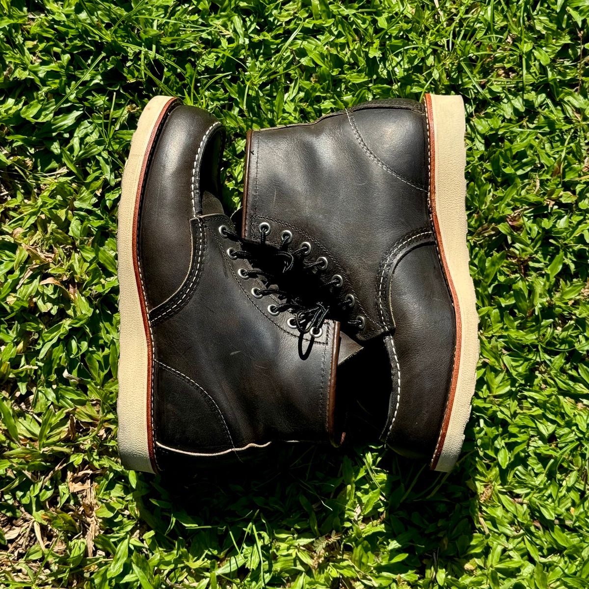 Photo by stinkypatina on July 4, 2026 of the Red Wing 6-Inch Classic Moc in S.B. Foot Charcoal Rough and Tough.