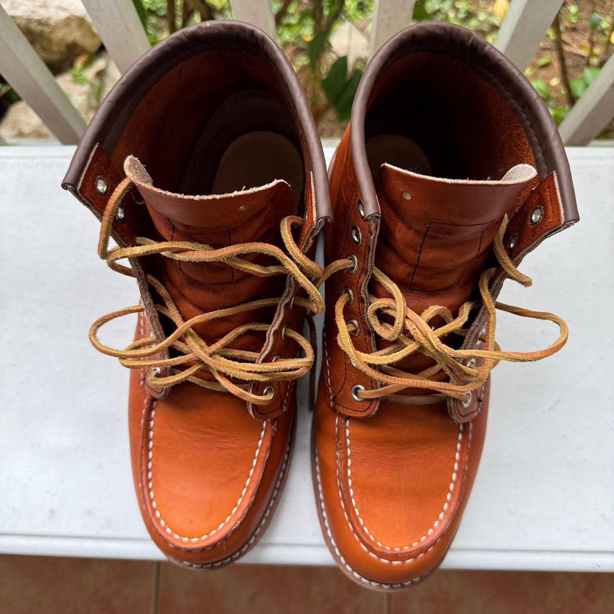 Photo by stinkypatina on July 18, 2025 of the Red Wing 6-Inch Classic Moc in S.B. Foot Oro Legacy.