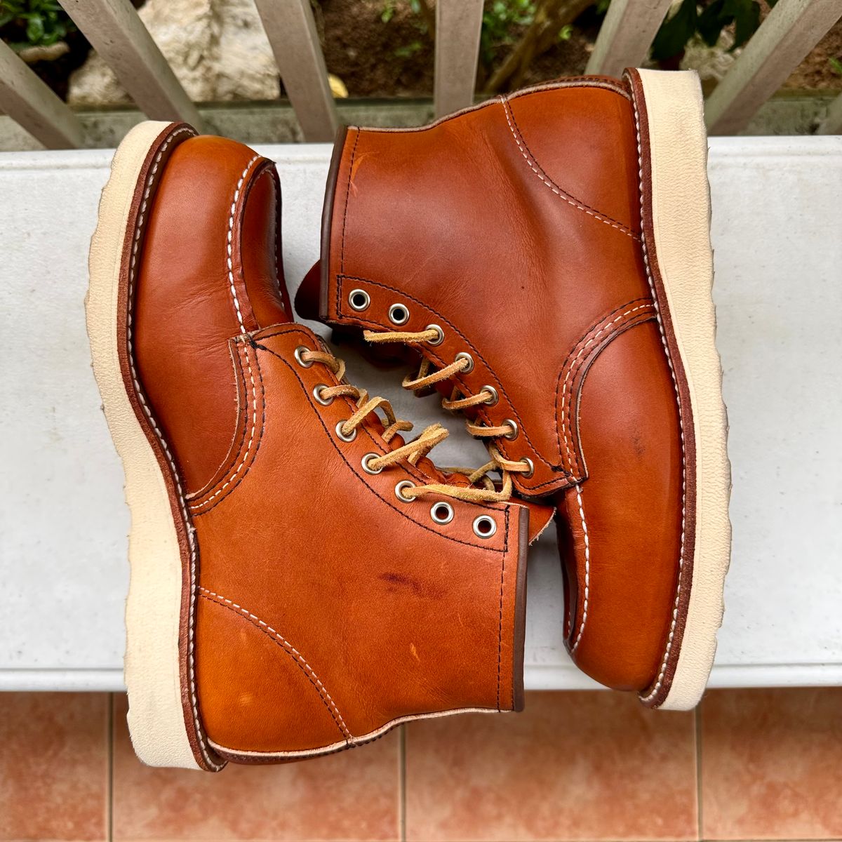 Photo by stinkypatina on August 29, 2025 of the Red Wing 6-Inch Classic Moc in S.B. Foot Oro Legacy.