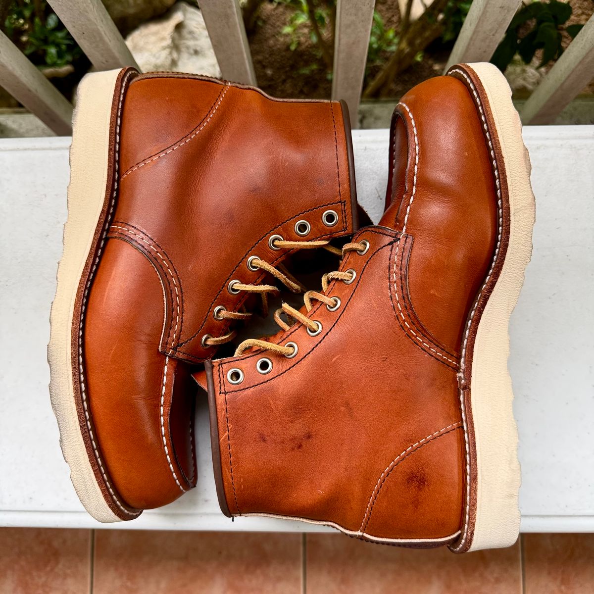 Photo by stinkypatina on August 29, 2025 of the Red Wing 6-Inch Classic Moc in S.B. Foot Oro Legacy.