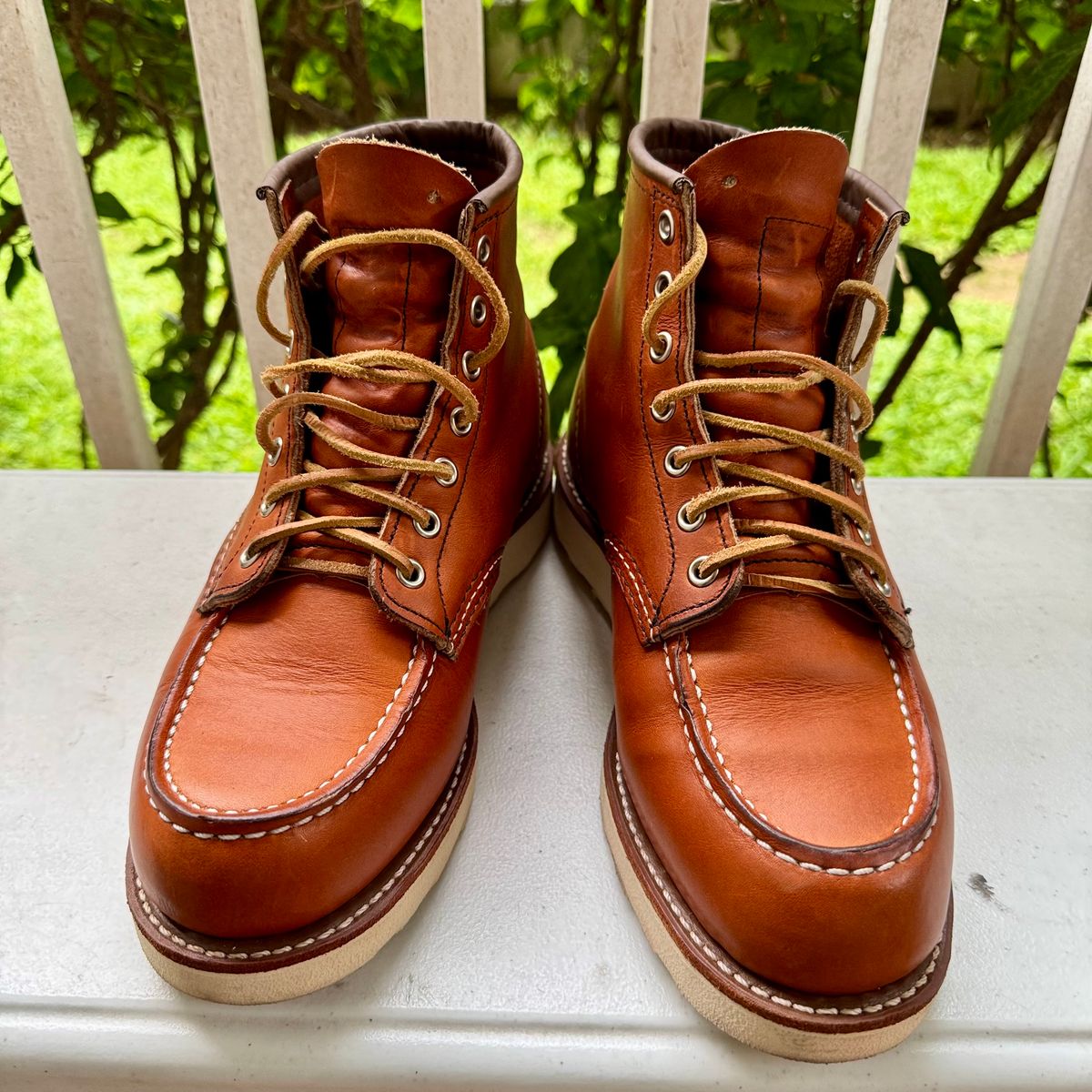 Photo by stinkypatina on August 29, 2025 of the Red Wing 6-Inch Classic Moc in S.B. Foot Oro Legacy.