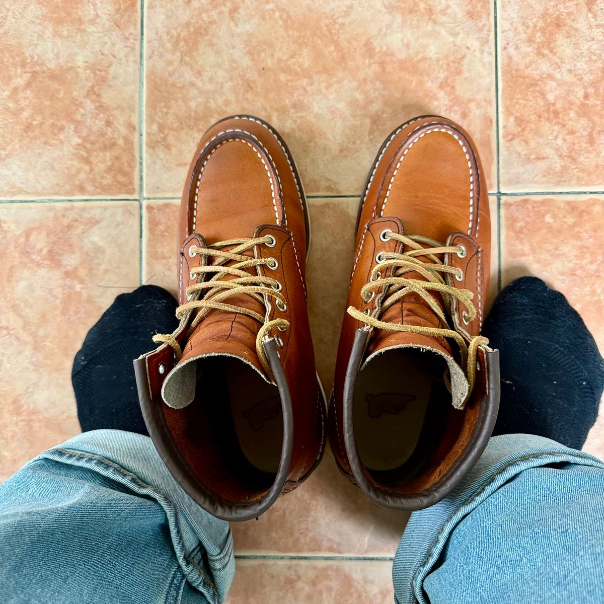 Photo by stinkypatina on August 29, 2025 of the Red Wing 6-Inch Classic Moc in S.B. Foot Oro Legacy.