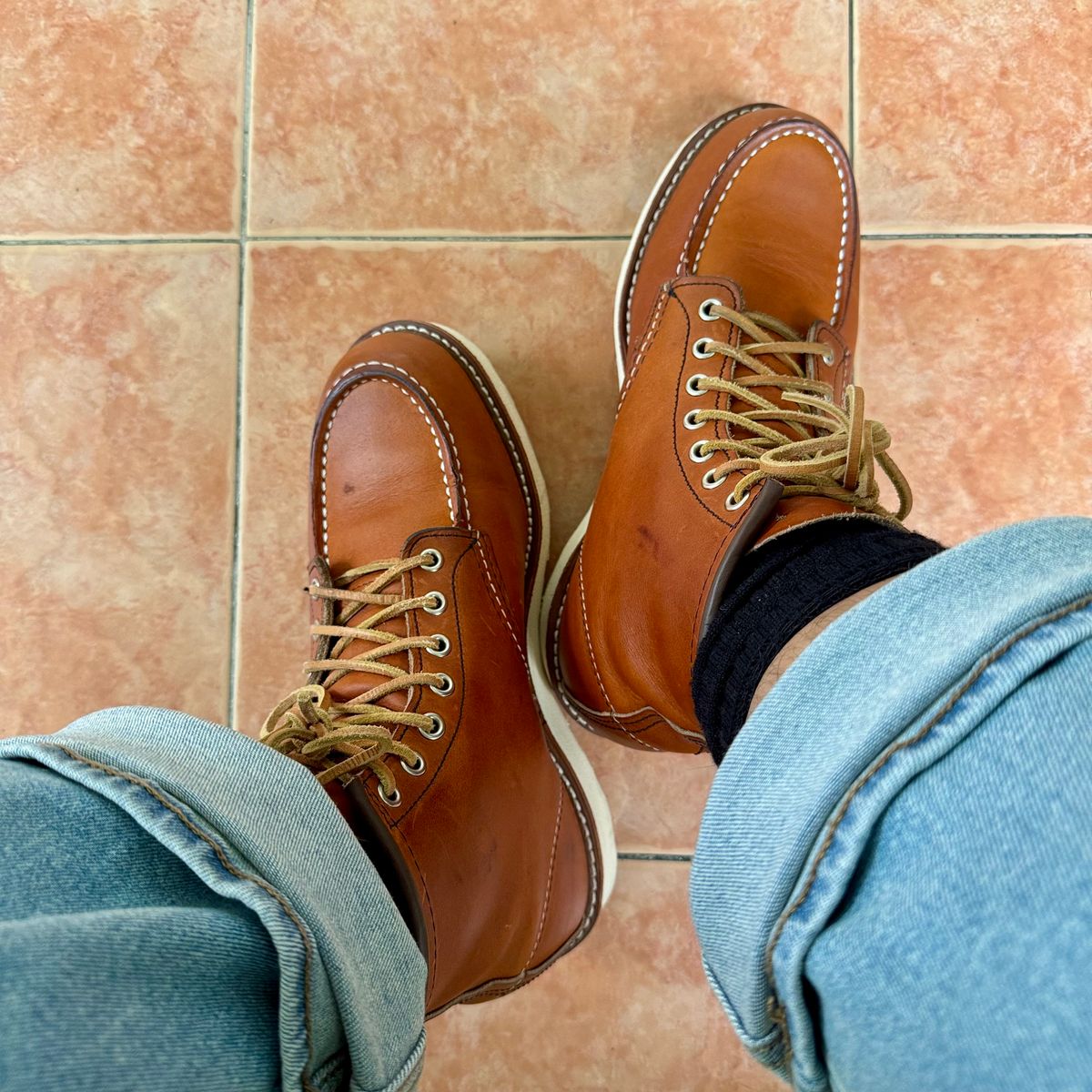 Photo by stinkypatina on August 29, 2025 of the Red Wing 6-Inch Classic Moc in S.B. Foot Oro Legacy.