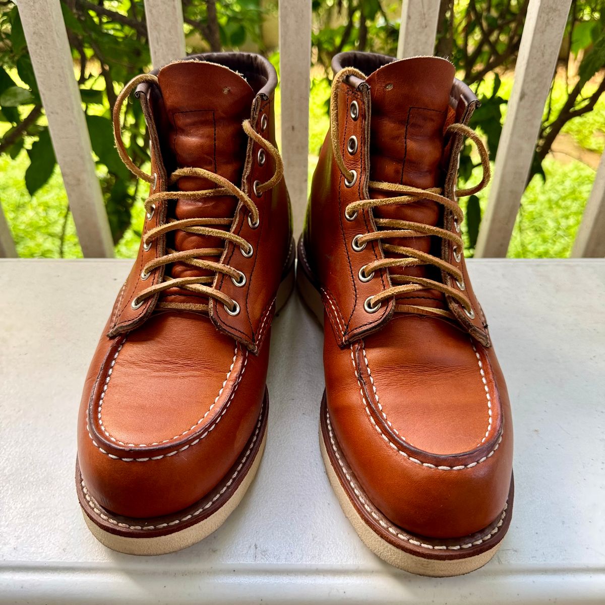 Photo by stinkypatina on October 1, 2025 of the Red Wing 6-Inch Classic Moc in S.B. Foot Oro Legacy.