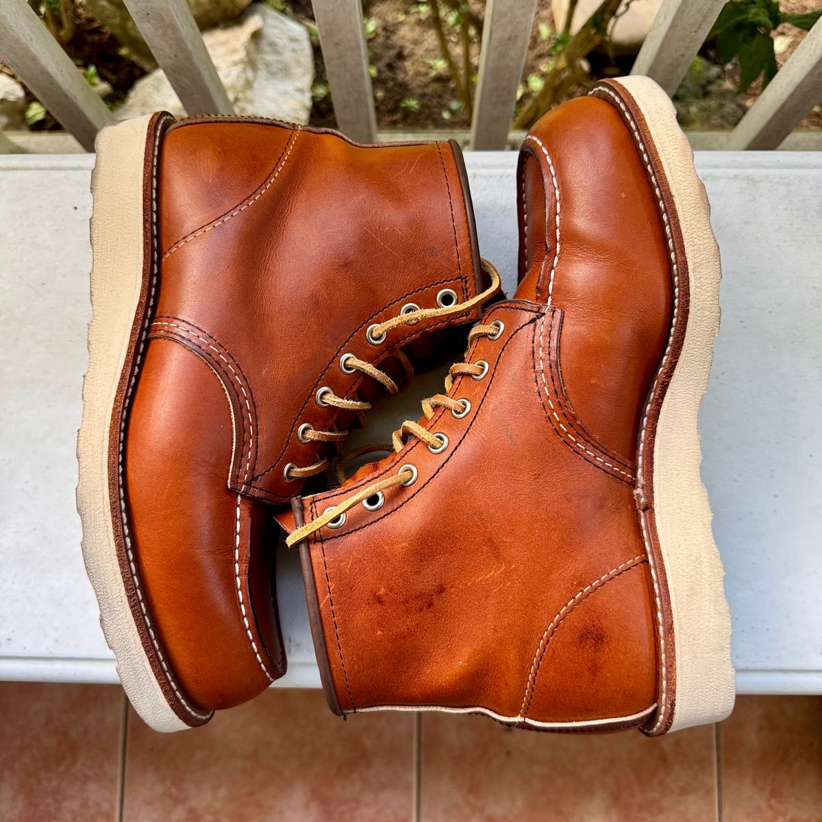 Photo by stinkypatina on October 1, 2025 of the Red Wing 6-Inch Classic Moc in S.B. Foot Oro Legacy.