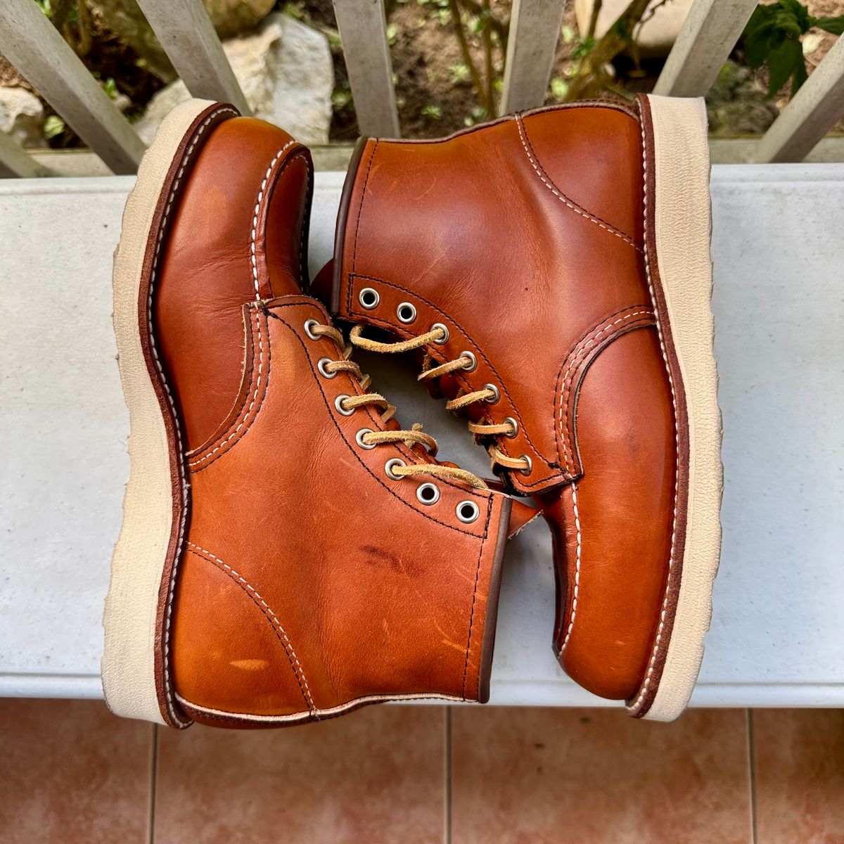Photo by stinkypatina on October 1, 2025 of the Red Wing 6-Inch Classic Moc in S.B. Foot Oro Legacy.