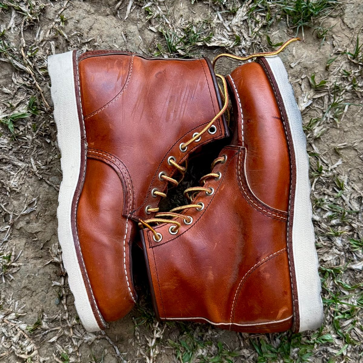 Photo by stinkypatina on May 3, 2026 of the Red Wing 6-Inch Classic Moc in S.B. Foot Oro Legacy.