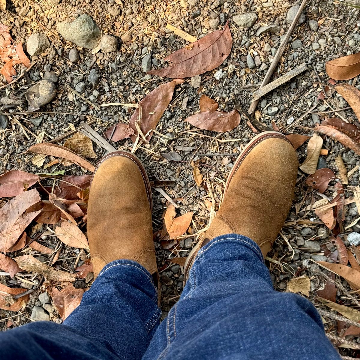 Photo by stinkypatina on March 28, 2026 of the Red Wing Classic Chelsea in S.B. Foot Hawthorne Muleskinner.