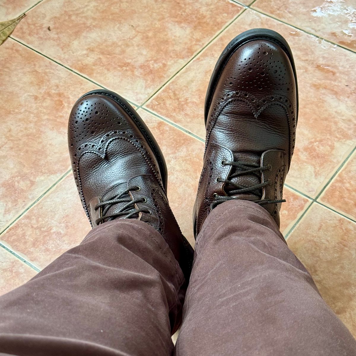 Photo by stinkypatina on August 24, 2025 of the NPS Shoes Heritage Grain Brogue in Walnut Grain & Calf.