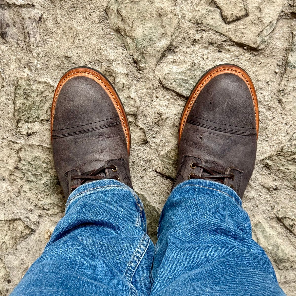 Photo by stinkypatina on December 8, 2025 of the Parkhurst The Richmond in C.F. Stead Rambler Glacier.