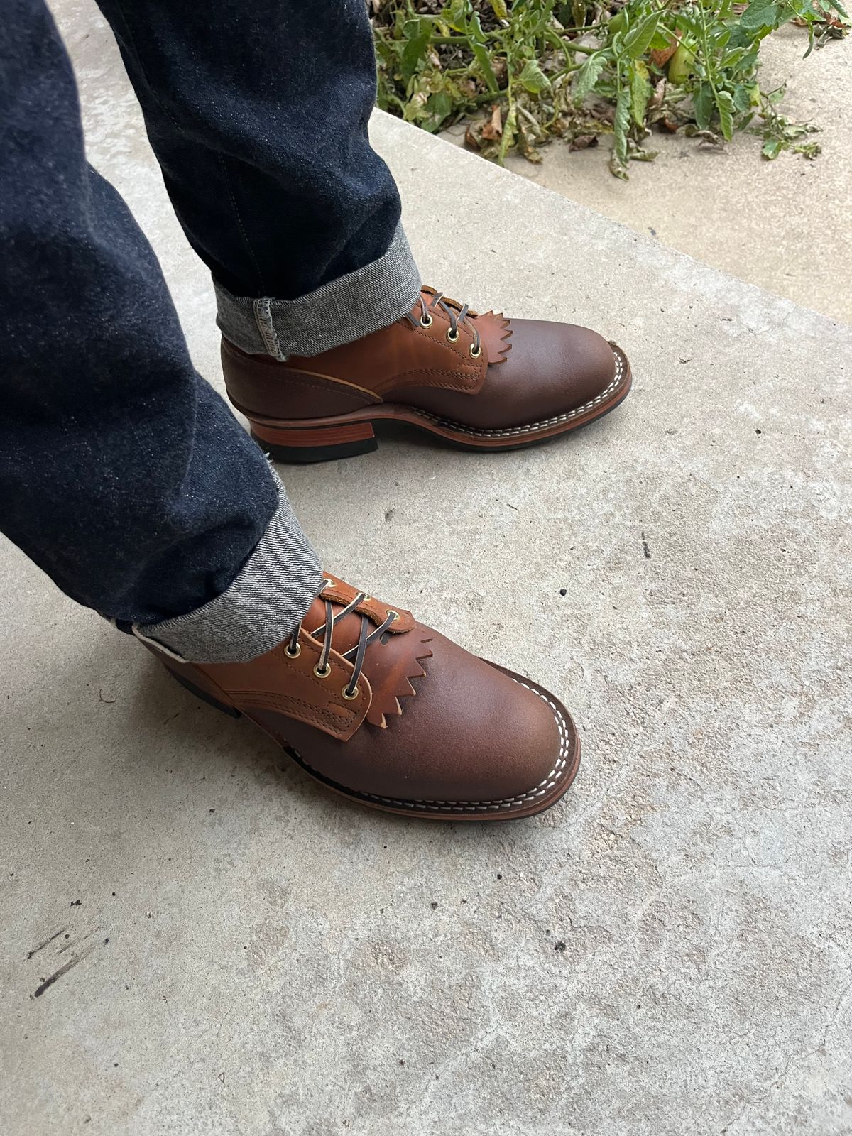 Photo by longhuntr74 on October 7, 2025 of the Nicks Ranger in Spokane Honey.