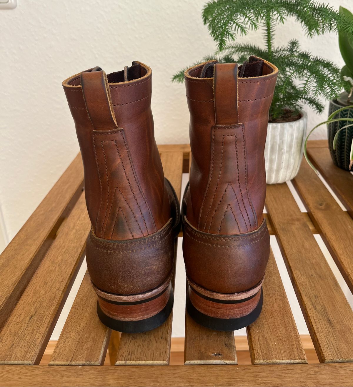 Photo by longhuntr74 on January 4, 2026 of the Nicks Ranger in Spokane Honey.