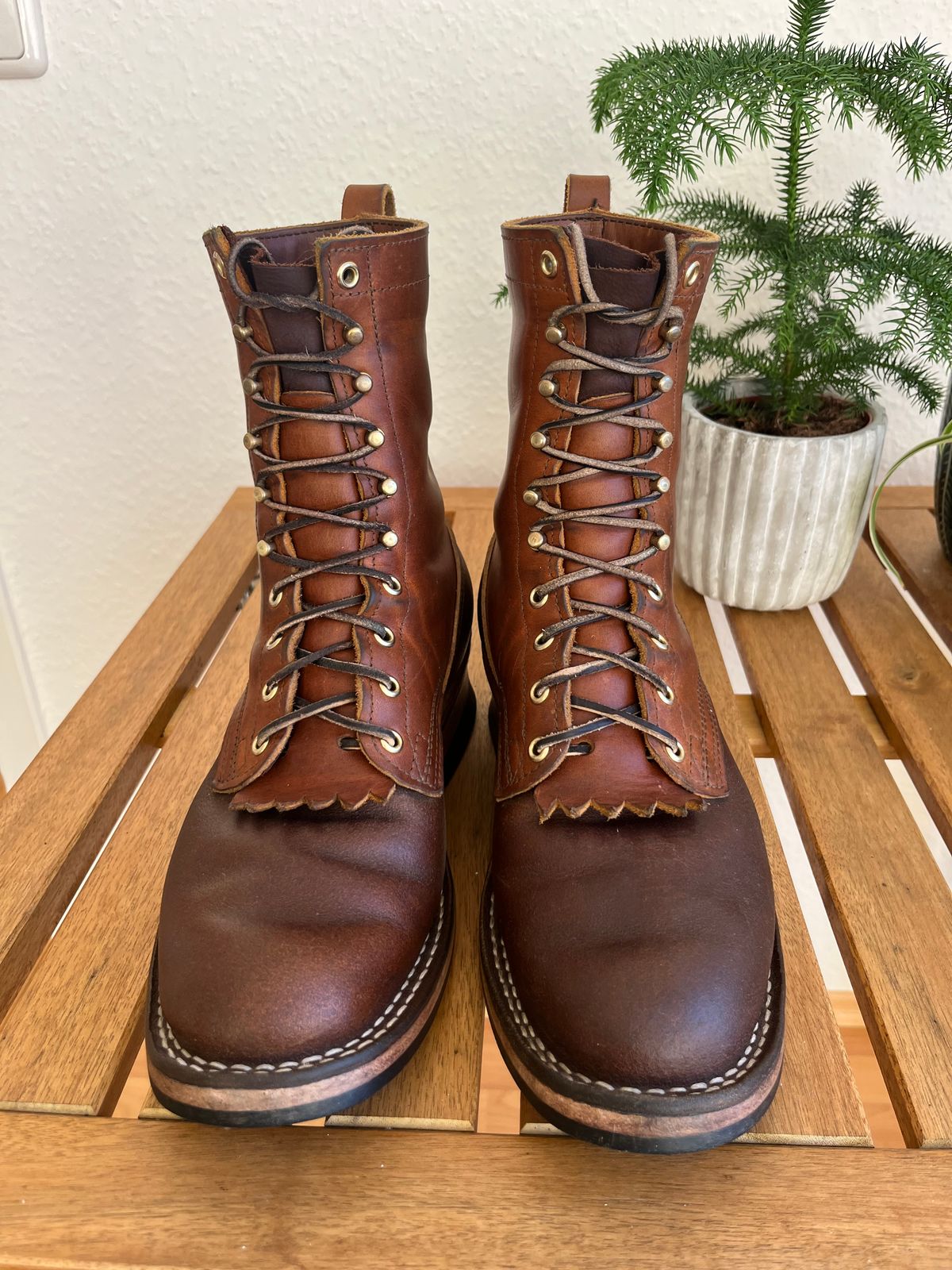 Photo by longhuntr74 on January 4, 2026 of the Nicks Ranger in Spokane Honey.