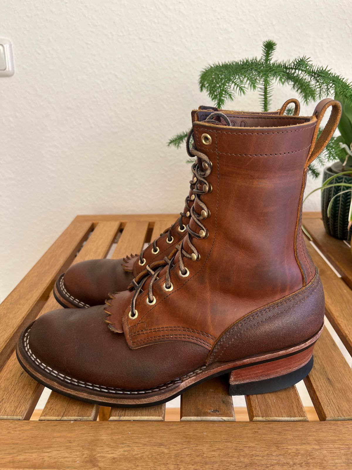 Photo by longhuntr74 on January 4, 2026 of the Nicks Ranger in Spokane Honey.