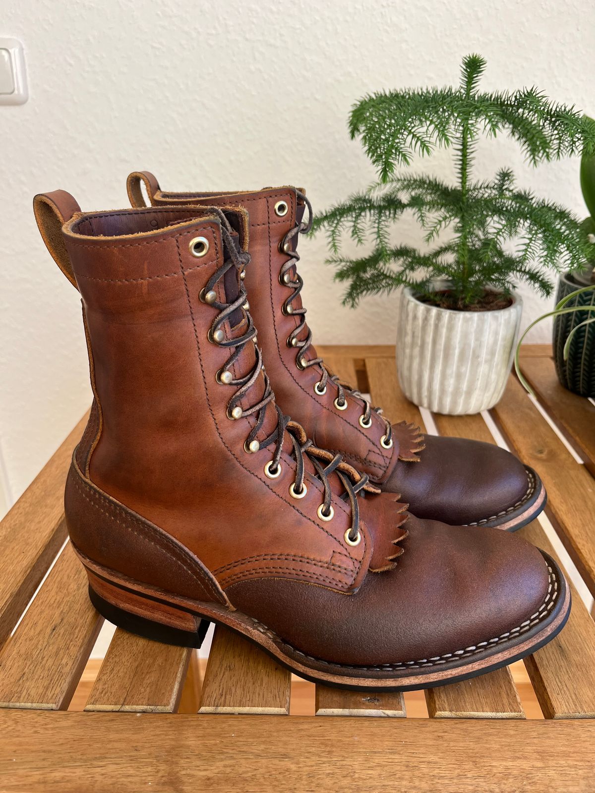 Photo by longhuntr74 on January 4, 2026 of the Nicks Ranger in Spokane Honey.