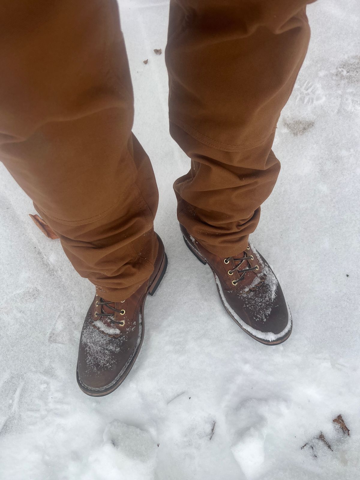 Photo by longhuntr74 on January 25, 2026 of the Nicks Ranger in Spokane Honey.