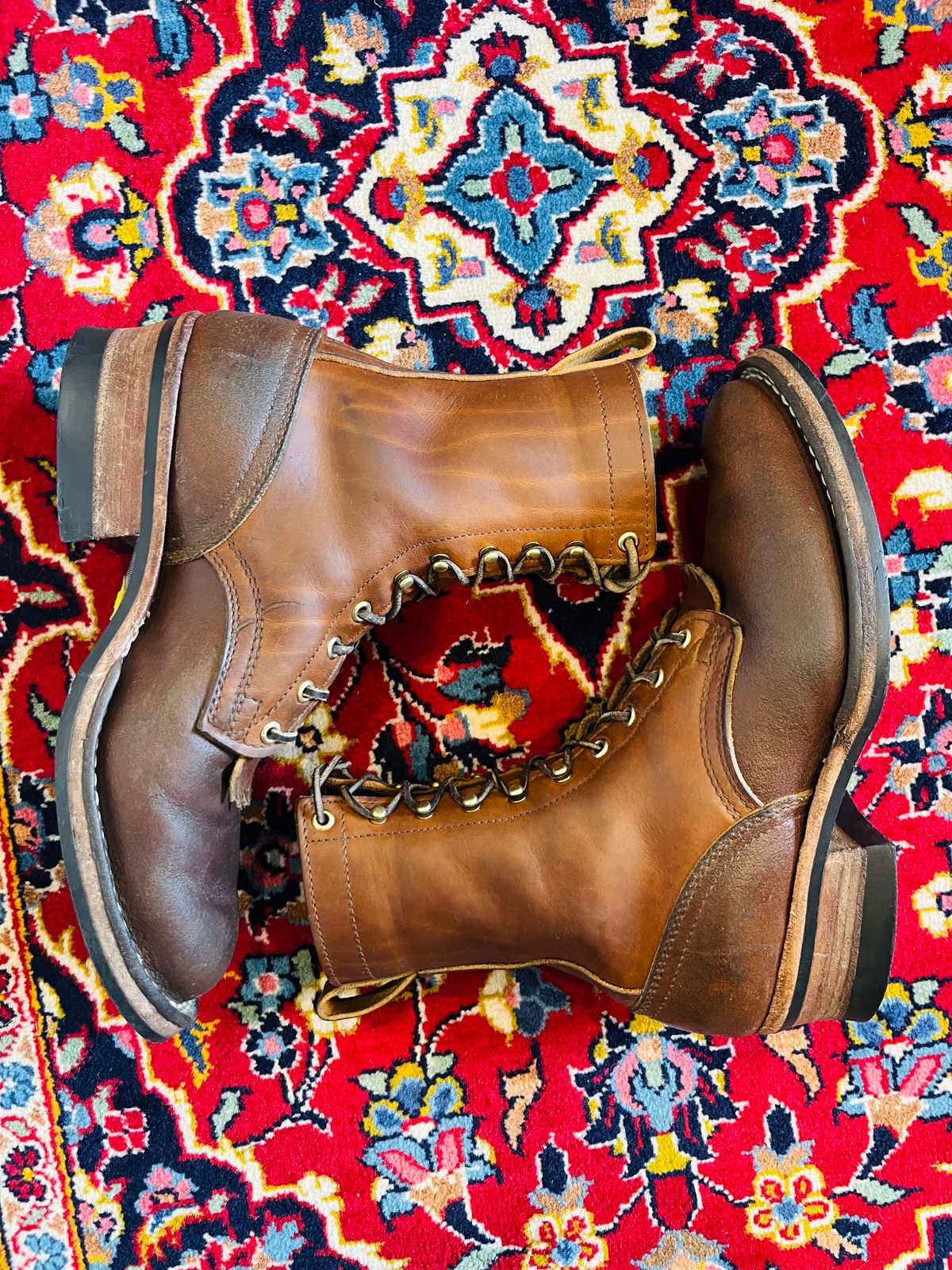 Photo by longhuntr74 on April 5, 2026 of the Nicks Ranger in Spokane Honey.