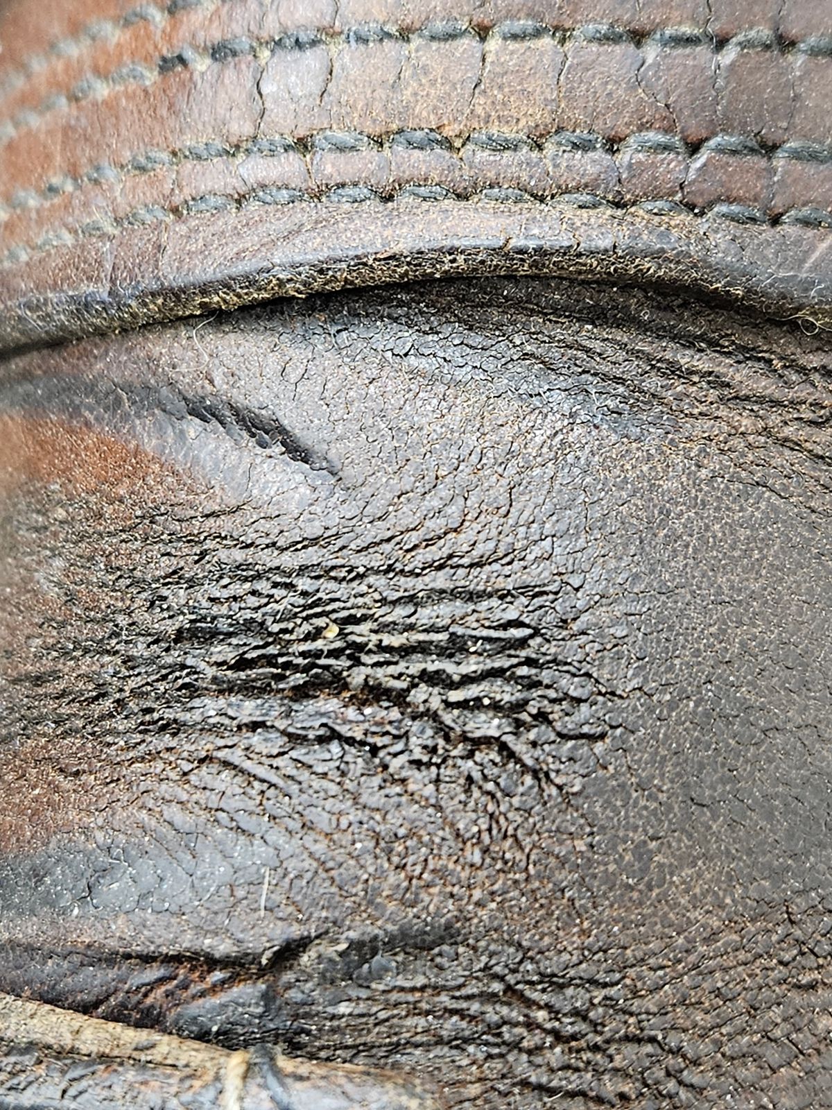 Photo by Shoop on July 3, 2025 of the Red Wing Iron Ranger in S.B. Foot Copper Rough and Tough.